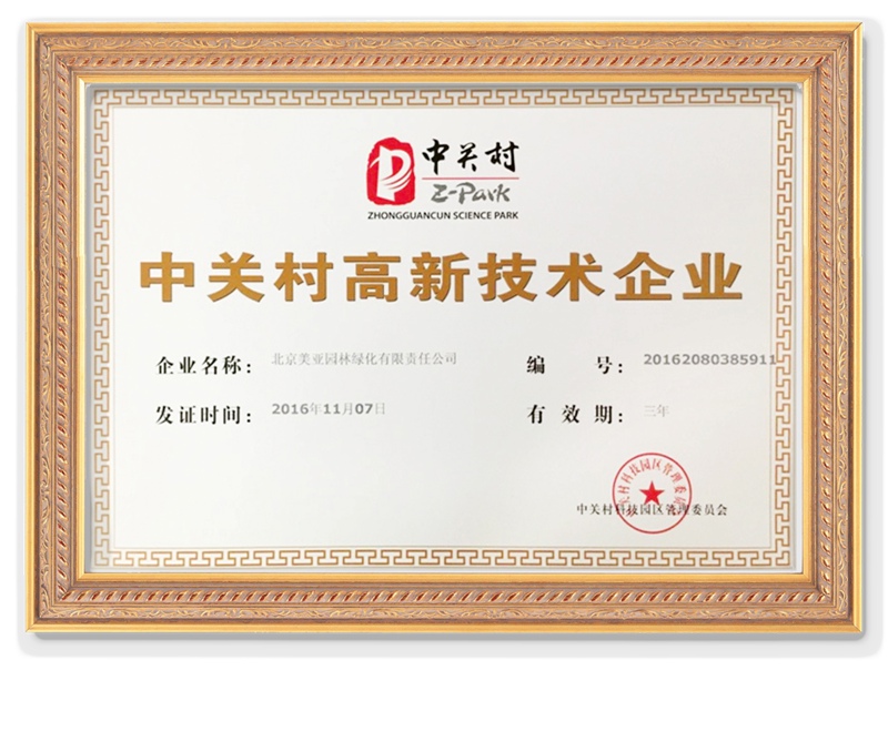 美亚高新技术企业