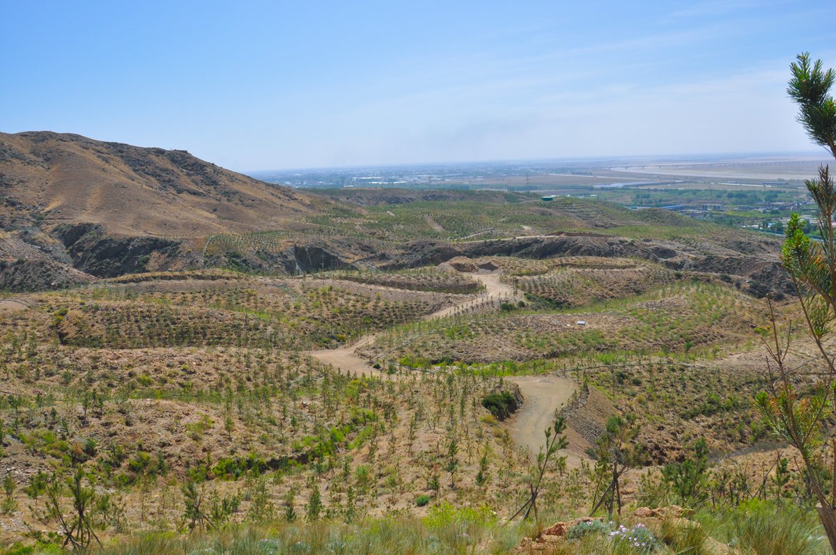 G6高速生态环境综合治理续建工程
