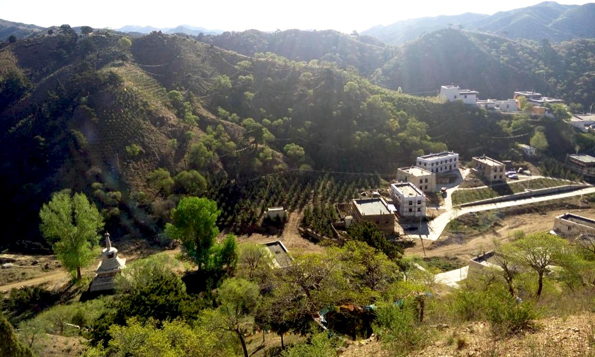 包头市石拐区绿化工程